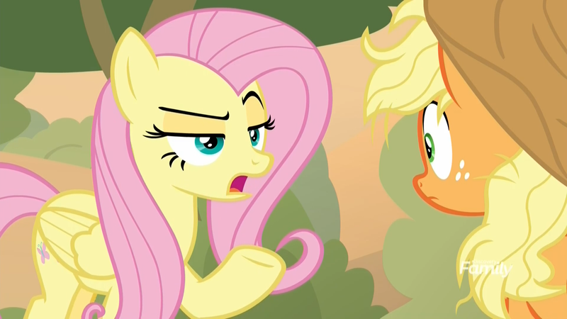 Size: 1920x1080 | Tagged: safe, derpibooru import, screencap, applejack, fluttershy, earth pony, pegasus, pony, sounds of silence, annoyed, discovery family logo, female, lidded eyes, mare, messy mane, raised eyebrow, wide eyes