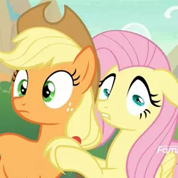Size: 1079x1078 | Tagged: safe, derpibooru import, screencap, applejack, fluttershy, earth pony, pegasus, pony, sounds of silence, cropped, duo, female, funny, great moments in animation, mare, meme, special eyes, wide eyes