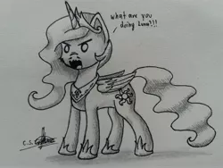 Size: 4128x3096 | Tagged: safe, artist:ironbeastz, derpibooru import, princess celestia, pony, monochrome, solo, traditional art