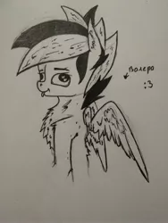 Size: 3120x4160 | Tagged: safe, artist:bitrate16, derpibooru import, oc, unofficial characters only, pegasus, pony, black and white, derp, fluffy, grayscale, lineart, monochrome, solo
