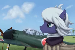 Size: 2100x1401 | Tagged: safe, artist:mrscroup, derpibooru import, oc, unofficial characters only, pony, aircraft, clothes, cloud, grass, imperial japanese navy, japanese, japanese empire, mitsubishi a6m zero, palm tree, sky, solo, tree, world war ii