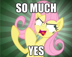 Size: 624x489 | Tagged: artist needed, caption, derpibooru import, fluttershy, funny, image macro, meme, safe, solo, source needed, text, useless source url, weird face
