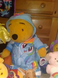 Size: 1944x2592 | Tagged: care bears, cheer bear, clothes, collection, cosplay, costume, crossover, derpibooru import, eeyore, my little pony: the movie, pajamas, plushie, pooh-bow dash, rainbow dash, rainbow the pooh, roo, safe, songbird serenade, winnie the pooh