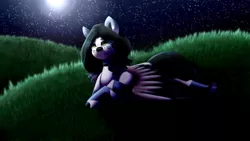 Size: 2560x1440 | Tagged: safe, artist:hicoojoo, derpibooru import, oc, oc:susan, pegasus, pony, art trade, digital art, grass, grass field, green eyes, lying down, moon, night, solo, spread wings, wings