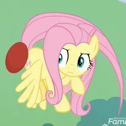Size: 943x942 | Tagged: safe, derpibooru import, screencap, fluttershy, pegasus, pony, father knows beast, buckball, butt bump, butt smash, concentrating, cropped, female, flying, mare, solo, spinning