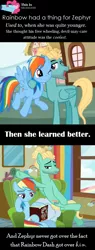 Size: 532x1398 | Tagged: safe, artist:estories, derpibooru import, edit, edited screencap, screencap, pinkie pie, rainbow dash, zephyr breeze, pegasus, pony, flutter brutter, female, headcannon, headcanon, male, mare, shipping, shipping denied, stallion, straight, zephdash