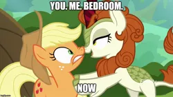 Size: 888x500 | Tagged: safe, derpibooru import, edit, edited screencap, editor:icey-wicey-1517, screencap, applejack, autumn blaze, earth pony, kirin, pony, sounds of silence, applejack's hat, autumnjack, bedroom eyes, boop, caption, cowboy hat, discovery family logo, female, femdom, femsub, freckles, hat, i need an adult, image macro, imgflip, implied sex, lesbian, mare, meme, noseboop, not sure if want, open mouth, out of context, personal space invasion, shipping, submissive, text, you. me. x. now.