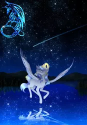 Size: 3473x5000 | Tagged: safe, artist:kassandravuds, derpibooru import, oc, unofficial characters only, pegasus, pony, absurd resolution, commission, constellation, digital art, female, flying, lake, looking up, mare, night, reflection, sky, solo, spread wings, stars, water, wings, ych result