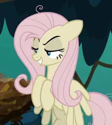 Size: 626x699 | Tagged: safe, derpibooru import, screencap, mean fluttershy, pegasus, pony, the mean 6, clone, cropped, everfree forest, evil grin, female, flying, grin, lidded eyes, mare, mocking, raised eyebrow, smiling