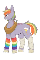 Size: 1024x1536 | Tagged: safe, artist:little-macrophage, derpibooru import, oc, oc:apple sorbet, unofficial characters only, earth pony, pony, bandage, clothes, female, freckles, mare, multicolored hair, offspring, parent:big macintosh, parent:rainbow dash, parents:rainbowmac, rainbow hair, rainbow socks, simple background, socks, solo, striped socks, transparent background, unshorn fetlocks, yoke