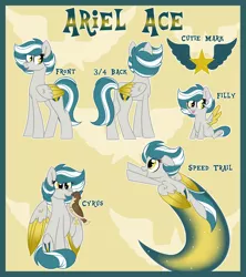 Size: 1600x1800 | Tagged: safe, artist:missmele-madness, derpibooru import, oc, oc:ariel ace, oc:cyrus, pegasus, pony, female, filly, mare, pet, pet oc, reference sheet, show accurate, solo, two toned wings, wings