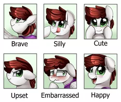 Size: 2349x1978 | Tagged: safe, artist:pridark, derpibooru import, oc, oc:graph travel, unofficial characters only, pegasus, pony, boop, brave, clothes, cute, embarrassed, emotions, female, freckles, happy, silly, solo, upset, vest