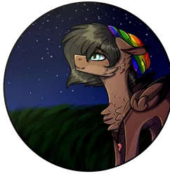 Size: 1015x1050 | Tagged: safe, artist:sweetmelon556, derpibooru import, oc, oc:aaron, pegasus, pony, beanie, hat, male, night, solo, stallion