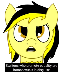 Size: 1117x1280 | Tagged: safe, artist:anonymous, derpibooru import, oc, oc:leslie fair, ponified, pony, /mlpol/, angry, equality, homosexuality, implied gay, memri tv