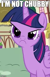 Size: 427x655 | Tagged: safe, derpibooru import, edit, edited screencap, screencap, twilight sparkle, twilight sparkle (alicorn), alicorn, pony, pinkie pride, angry, caption, chubby, cropped, cute, denial, image macro, inverted mouth, madorable, meme, reaction image, solo, text, twiabetes