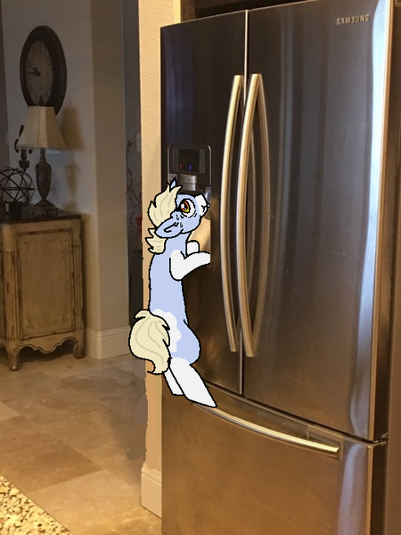 Size: 540x720 | Tagged: safe, artist:nootaz, derpibooru import, oc, oc:nootaz, pony, irl, photo, ponies in real life, ponified animal photo, refrigerator