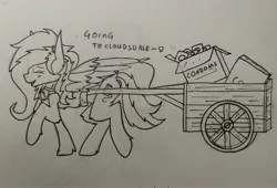 Size: 4160x2824 | Tagged: safe, artist:bitrate16, derpibooru import, oc, unofficial characters only, pegasus, pony, condoms, joke, lineart, solo, traditional art, truck, walking