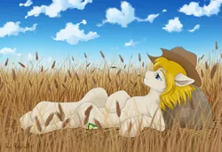 Size: 1111x763 | Tagged: safe, artist:rexiwiksi, derpibooru import, oc, oc:hickory switch, earth pony, pony, cloud, commission, cowboy hat, detailed background, food, hat, lying down, male, sack, sky, solo, stallion, stetson, straw in mouth, wheat, wheat field, ych result