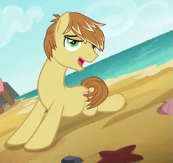 Size: 663x622 | Tagged: safe, derpibooru import, screencap, feather bangs, earth pony, pony, hard to say anything, beach, cropped, cutie mark, male, ocean, smiling, stupid sexy feather bangs