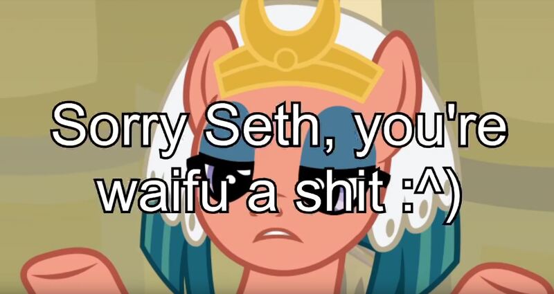 Size: 1307x695 | Tagged: a rockhoof and a hard place, caption, derpibooru import, edit, edited screencap, grammar error, lidded eyes, meme, safe, screencap, sethisto, solo, somnambula, subliminal message, totally legit recap, vulgar, your waifu is shit