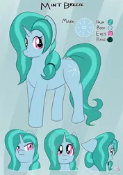 Size: 818x1158 | Tagged: safe, artist:teabucket, deleted from derpibooru, derpibooru import, oc, oc:mint breeze, unofficial characters only, pony, unicorn, female, reference sheet, simple background