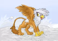 Size: 2412x1675 | Tagged: safe, artist:pzkratzer, derpibooru import, gilda, gryphon, colored sketch, cute, fun, gildadorable, offscreen character, sketch, smiling, snow, snowball, snowball fight, solo, spread wings, wings, winter