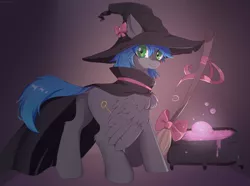 Size: 2535x1890 | Tagged: safe, artist:detectiveneko, derpibooru import, oc, oc:key turner, unofficial characters only, pegasus, pony, broom, cauldron, hat, male, solo, stallion, witch hat