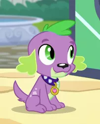 Size: 376x463 | Tagged: safe, derpibooru import, screencap, spike, spike the regular dog, dog, equestria girls, equestria girls series, my little shop of horrors, cropped, male, paws, smiling, solo, tail
