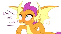 Size: 1200x672 | Tagged: artist:maren, blatant lies, blushing, cute, denial's not just a river in egypt, derpibooru import, dragon, dragoness, female, i'm not cute, safe, simple background, smolder, smolderbetes, smoldere, solo, tsundere