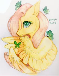 Size: 1602x2064 | Tagged: safe, artist:ectopi, derpibooru import, fluttershy, butterfly, pegasus, pony, bust, colored pencil drawing, covering, female, hiding behind wing, mare, portrait, profile, simple background, solo, stray strand, traditional art, white background, wing covering, wings