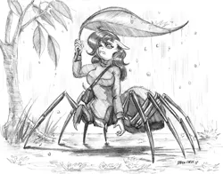 Size: 1400x1097 | Tagged: anthro, artist:baron engel, clothes, derpibooru import, drider, female, grayscale, leaf, micro, monochrome, monster mare, monster pony, oc, oc:charlotte silk, original species, pencil drawing, rain, safe, solo, spider, spiderpony, sweater, traditional art, unofficial characters only