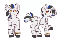 Size: 4000x2646 | Tagged: artist:youwannaslap, derpibooru import, male, oc, oc:haan, reference sheet, safe, simple background, solo, unofficial characters only, white background, zebra, zebra oc