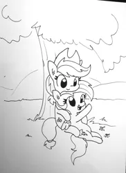 Size: 1221x1680 | Tagged: safe, artist:tjpones, derpibooru import, applejack, rainbow dash, earth pony, pegasus, pony, appledash, black and white, cute, dashabetes, female, grayscale, jackabetes, lesbian, lineart, looking down, looking up, mare, monochrome, open mouth, shipping, sitting, smiling, traditional art, tree