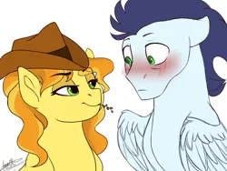 Size: 1024x768 | Tagged: dead source, safe, artist:scorpion-89, derpibooru import, braeburn, soarin', pegasus, pony, bailey sweet, bedroom eyes, blushing, cowboy hat, female, gay, half r63 shipping, hat, looking at each other, male, mare, rule 63, shipping, simple background, smiling, soarburn, soariley, stallion, straight, straw in mouth, white background
