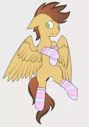 Size: 2039x2893 | Tagged: safe, artist:renderpoint, derpibooru import, oc, oc:krafty kitsune, unofficial characters only, pegasus, pony, body pillow, clothes, femboy, male, socks, solo, stallion, striped socks