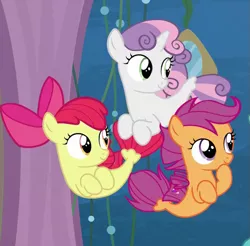 Size: 625x615 | Tagged: apple bloom, cropped, cutie mark crusaders, derpibooru import, female, filly, fins, foal, safe, scootaloo, screencap, sea-mcs, seaponified, seapony apple bloom, seapony (g4), seapony scootaloo, seapony sweetie belle, smiling, species swap, surf and/or turf, sweetie belle, tail, trio
