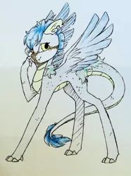 Size: 732x982 | Tagged: safe, artist:nightskycc, derpibooru import, oc, unofficial characters only, bird, dracaven, dragon, original species, claws, horns, long tail, solo, tongue out, traditional art, wings