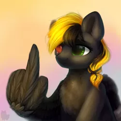 Size: 1080x1080 | Tagged: safe, artist:alphadesu, derpibooru import, oc, oc:shade demonshy, unofficial characters only, pegasus, pony, chest fluff, commission, fuck you, gradient background, middle feather, middle finger, multicolored hair, solo, vulgar, wing hands, wings, ych result