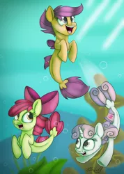 Size: 1889x2659 | Tagged: adorabloom, apple bloom, artist:mcmeg29, bow, cute, cutealoo, cutie mark crusaders, derpibooru import, diasweetes, female, mane bow, safe, scootaloo, sea-mcs, seaponified, seapony apple bloom, seapony (g4), seapony scootaloo, seapony sweetie belle, species swap, surf and/or turf, sweetie belle, underwater