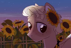 Size: 1452x973 | Tagged: safe, alternate version, artist:lothard juliet, derpibooru import, oc, unofficial characters only, earth pony, pony, bust, fence, flower, flower in hair, male, neckerchief, night, portrait, solo, stallion, stars, sunflower