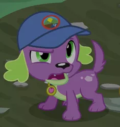 Size: 640x681 | Tagged: safe, derpibooru import, screencap, spike, spike the regular dog, dog, equestria girls, legend of everfree, camp everfree logo, cap, cropped, hat, male, paws, solo, tail