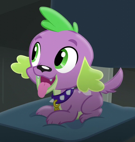 Size: 599x630 | Tagged: safe, derpibooru import, screencap, spike, spike the regular dog, dog, equestria girls, friendship games, chair, collar, cropped, cute, eyebrows, green eyes, happy, looking up, male, office chair, paws, puppy, sitting, solo, spikabetes, tail, tongue out