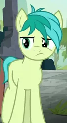 Size: 241x440 | Tagged: safe, derpibooru import, screencap, sandbar, earth pony, pony, school daze, cropped, male, solo, teenager