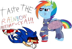 Size: 1600x1088 | Tagged: semi-grimdark, artist:mrtheamazingdude, artist:mtad2, derpibooru import, rainbow dash, pony, alternate timeline, apocalypse dash, blood, crossover, crystal war timeline, nostalgia critic, scar, sonic the hedgehog, sonic the hedgehog (series), sonic.exe, taste the rainbow