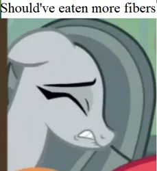 Size: 351x384 | Tagged: safe, derpibooru import, edit, edited screencap, screencap, marble pie, earth pony, pony, best gift ever, caption, constipated, cropped, eyes closed, female, heartbroken marble, image macro, lip bite, mare, meme, side chick, text