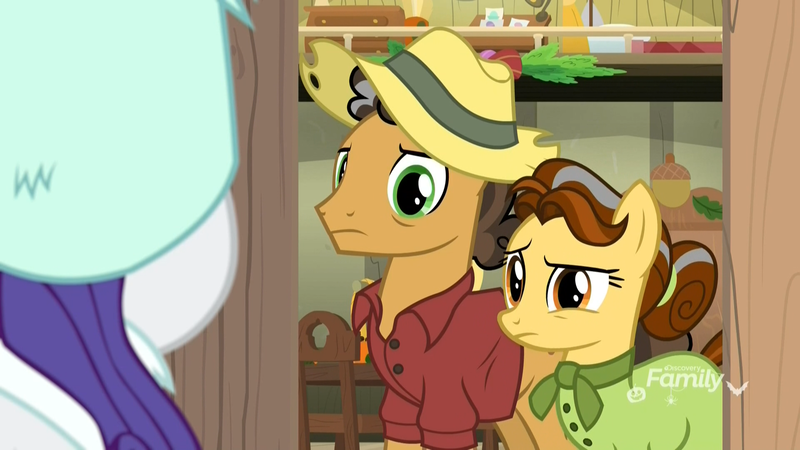 Size: 1920x1080 | Tagged: safe, derpibooru import, screencap, butternut, oak nut, rarity, earth pony, pony, unicorn, best gift ever, clothes, confused, discovery family logo, dress, female, frown, hat, male, mare, raised eyebrow, shirt, stallion, sweet acorn orchard