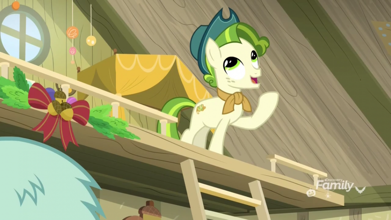 Size: 1280x720 | Tagged: safe, derpibooru import, screencap, pistachio, earth pony, pony, best gift ever, acorn, cowboy hat, cute, discovery family logo, hat, ladder, loft, looking up, male, neckerchief, raised hoof, solo focus, teenager