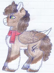 Size: 506x678 | Tagged: safe, artist:69beas, derpibooru import, oc, oc:luke pineswood, unofficial characters only, pegasus, pony, chest fluff, clothes, ear fluff, male, reference sheet, scarf, solo, stallion, traditional art, unshorn fetlocks