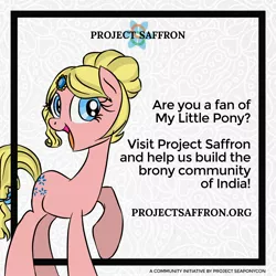 Size: 2000x2000 | Tagged: safe, artist:emositecc, derpibooru import, oc, oc:saffron showers, ponified, pony, project seaponycon, advertisement, bow, india, it begins, jewel, jewelry, nation ponies, project saffron, solo, tail bow