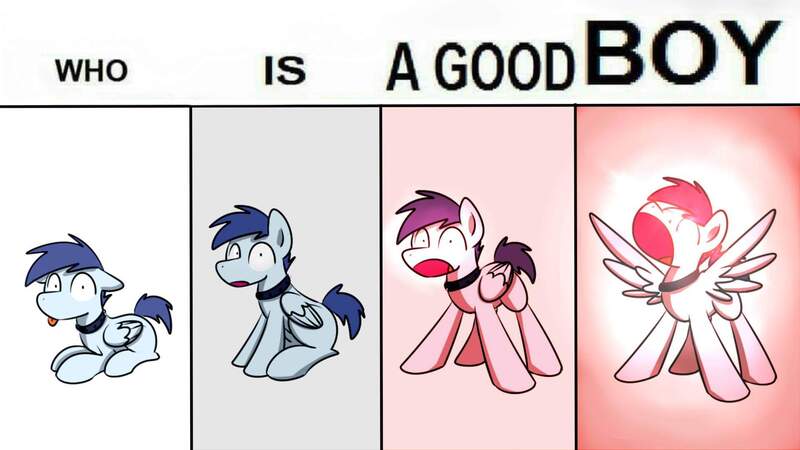 Size: 1920x1080 | Tagged: safe, artist:sugar morning, derpibooru import, oc, oc:slipstream, unofficial characters only, dog, dog pony, pegasus, pony, behaving like a dog, boofy, boofy is a good boy, collar, deep fried meme, eye beams, good boy, lying down, male, meme, open mouth, simple background, sitting, solo, spiked collar, stallion, standing, tongue out